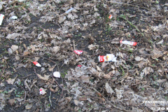 Müll im Wald Linteler Wäldchen-Wald 17.2.19-9