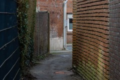 Lohne-zwischen-Mackeriege-und-Westerstrasse-Stadt-Norden-17.2.2024-12