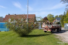 Maibaum-Sportplatz-Hage-30.4.2025-11