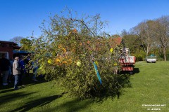 Maibaum-Sportplatz-Hage-30.4.2025-42