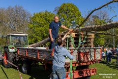 Maibaum-Sportplatz-Hage-30.4.2025-43