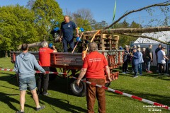 Maibaum-Sportplatz-Hage-30.4.2025-46