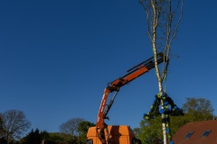 Maibaum-Sportplatz-Hage-30.4.2025-61