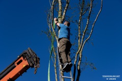 Maibaum-Sportplatz-Hage-30.4.2025-64