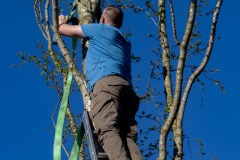 Maibaum-Sportplatz-Hage-30.4.2025-65