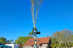 Maibaum-Sportplatz-Hage-30.4.2025-67