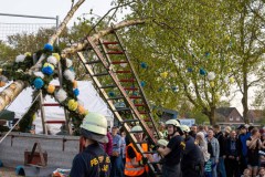 Maibaum-Sportplatz-Hage-30.4.2024-38