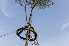 Maibaum-Sportplatz-Hage-30.4.2024-43