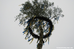 Maibaum Norden 2019