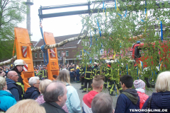 1_Maibaum-Tanz-in-den-Mai-Norden-30.4.2019-15