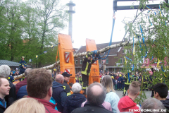1_Maibaum-Tanz-in-den-Mai-Norden-30.4.2019-19