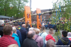 1_Maibaum-Tanz-in-den-Mai-Norden-30.4.2019-24