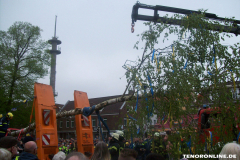 1_Maibaum-Tanz-in-den-Mai-Norden-30.4.2019-25