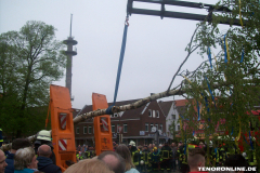 1_Maibaum-Tanz-in-den-Mai-Norden-30.4.2019-27