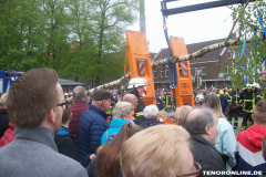 1_Maibaum-Tanz-in-den-Mai-Norden-30.4.2019-28