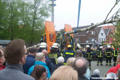 1_Maibaum-Tanz-in-den-Mai-Norden-30.4.2019-36