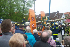 1_Maibaum-Tanz-in-den-Mai-Norden-30.4.2019-37