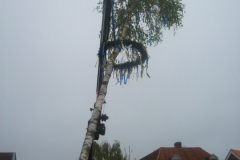1_Maibaum-Tanz-in-den-Mai-Norden-30.4.2019-40