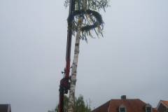 1_Maibaum-Tanz-in-den-Mai-Norden-30.4.2019-41