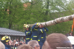 1_Maibaum-Tanz-in-den-Mai-Norden-30.4.2019-44