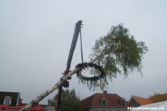 1_Maibaum-Tanz-in-den-Mai-Norden-30.4.2019-45