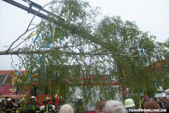 1_Maibaum-Tanz-in-den-Mai-Norden-30.4.2019-48