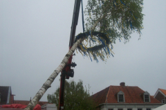 1_Maibaum-Tanz-in-den-Mai-Norden-30.4.2019-53