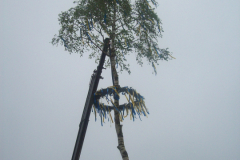 1_Maibaum-Tanz-in-den-Mai-Norden-30.4.2019-69
