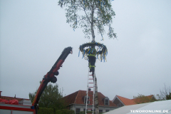 1_Maibaum-Tanz-in-den-Mai-Norden-30.4.2019-73