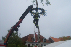 1_Maibaum-Tanz-in-den-Mai-Norden-30.4.2019-74