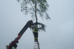 1_Maibaum-Tanz-in-den-Mai-Norden-30.4.2019-81