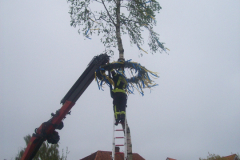 1_Maibaum-Tanz-in-den-Mai-Norden-30.4.2019-83