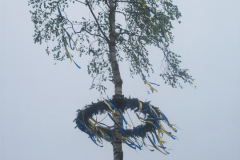 1_Maibaum-Tanz-in-den-Mai-Norden-30.4.2019-89