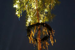 Maibaum-Tanz-in-den-Mai-Norden-30.4.2019-142