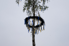 Maibaum-Tanz-in-den-Mai-Norden-30.4.2019-53