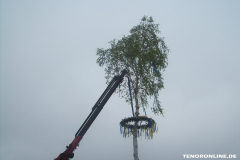 Maibaum-Tanz-in-den-Mai-Norden-30.4.2019-55