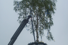 Maibaum-Tanz-in-den-Mai-Norden-30.4.2019-63