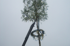 Maibaum-Tanz-in-den-Mai-Norden-30.4.2019-65