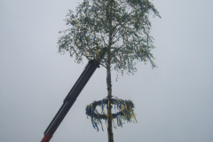 Maibaum-Tanz-in-den-Mai-Norden-30.4.2019-66