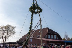 Maibaumfeier-Maibaumaufstellen-Hage-Sportplatz-30.4.2023-13