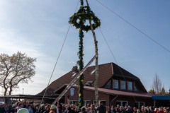 Maibaumfeier-Maibaumaufstellen-Hage-Sportplatz-30.4.2023-14