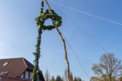 Maibaumfeier-Maibaumaufstellen-Hage-Sportplatz-30.4.2023-15