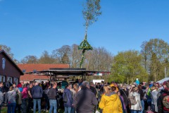Maibaumfeier-Maibaumaufstellen-Hage-Sportplatz-30.4.2023-21