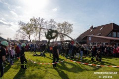 Maibaumfeier-Maibaumaufstellen-Hage-Sportplatz-30.4.2023-9