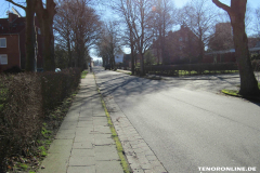 Martensdorf Norden 15.2.2019-3