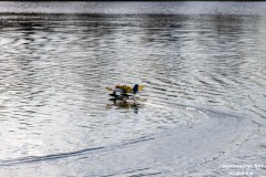 Modellboote-Berum-Hage-Kiessee-1.3.2024-45