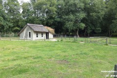 Moormuseum-Moordorf-Ostfriesland-24.7.2015-18