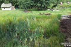 Moormuseum-Moordorf-Ostfriesland-24.7.2015-8