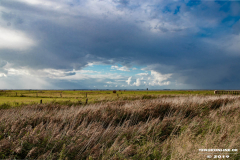 Naturstrand-Hilgenriedersiel-Hagermarsch-Ostfriesland-2.9.2019-11