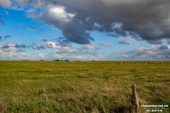 Naturstrand-Hilgenriedersiel-Hagermarsch-Ostfriesland-2.9.2019-12